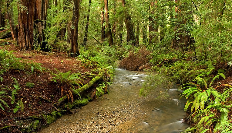 Wcai-california-walking-7